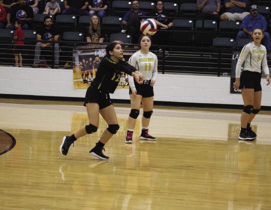 DIGGING DEEP — Anna Culbertson (12) records a dig during the Lady Hornets' game against Penelope Tuesday. Culbertson recorded nine digs and two aces in the Lady Hornets' Regional Quarterfinal victory. Photo by DJ Spencer
