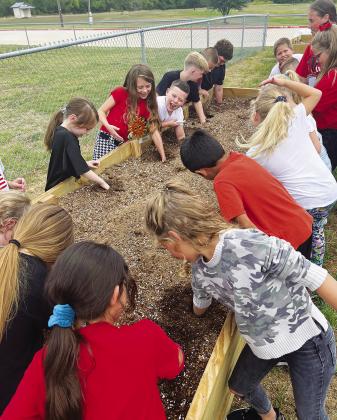 Elementary school students at North Hopkins ISD get dirty digging in the soil of the planting bed used at the new horticulture project. A total of 45 participants helped get the program started. Submitted photo