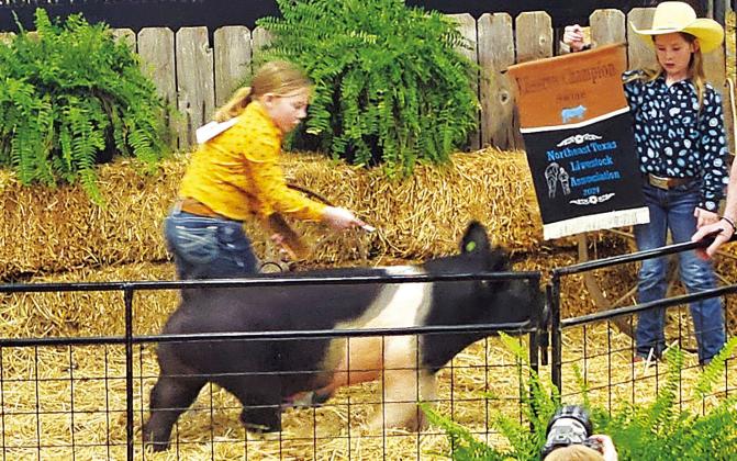 Serenity Albritton represented the Miller Grove FFA while exhibiting her Reserve Champion pig at Saturday’s Sale of Champions, the finale’ event of the 2024 NETLA Junior Market Livestock Show and Sale. Albritton was one of more than 130 Hopkins County students who competed in this year’s event.