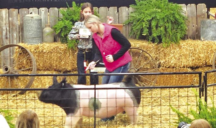 Sulphur Springs FFA member Madison Kellogg put her Grand Champion pig through its paces in the sale ring during the Sale of Champions. The sale was the final event in the 2024 NETLA Junior Market Livestock Show and Sale, held last week at the Hopkins County Regional Civic Center. The auction raised over $540,000, but add-ons are still available all this week. Drop them off at the Hopkins County AgriLife Extension Office at 1200B Houston Street in Sulphur Springs.